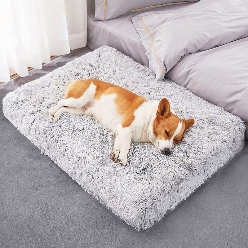 PETLAVISH™ XL Orthopedic Memory Foam Dog/Cat Bed - Soft Calming